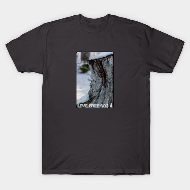 Live Free 603 - Old Man of the Mountain T-Shirt by MagpieMoonUSA